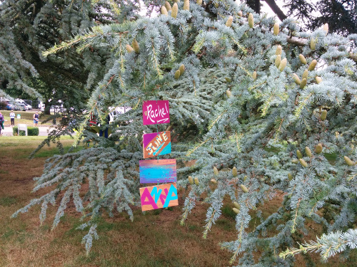 At Enham Trust