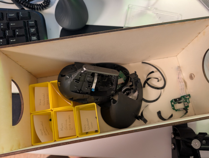 mouse2.jpg