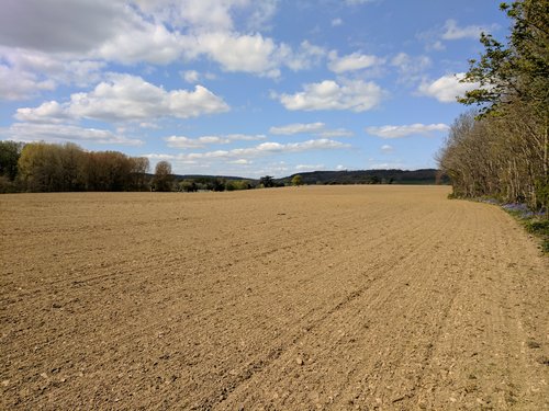 field