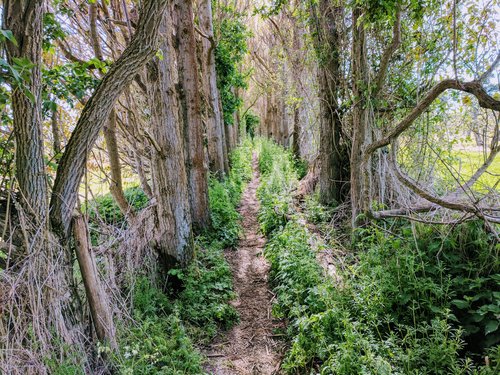 North Downs Way