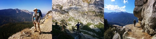 Sequoia