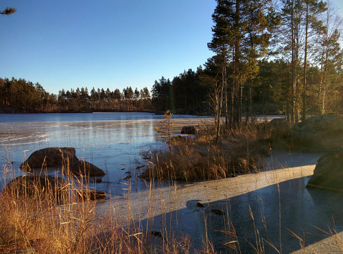 Hälsingland kring Tönnebro