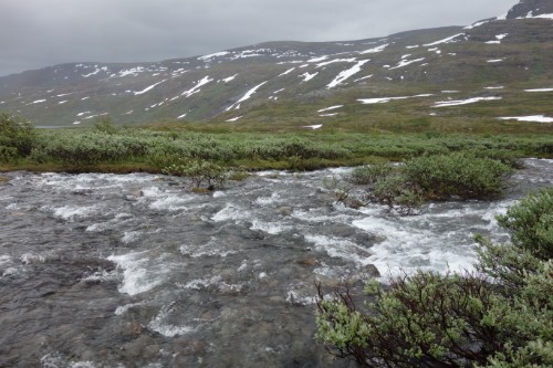 Stream crossing