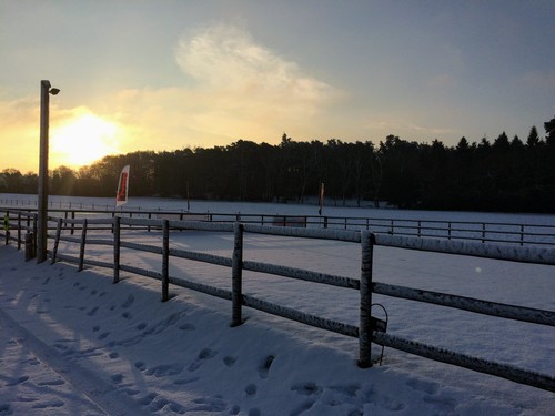rsz_img_0629_1.jpg