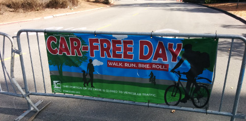 Car-free day