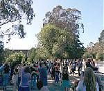 San Francisco Sunday Swing: Lindy in the Park