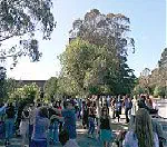 San Francisco Sunday Swing: Lindy in the Park