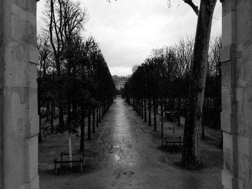 Jardin des Tuileries