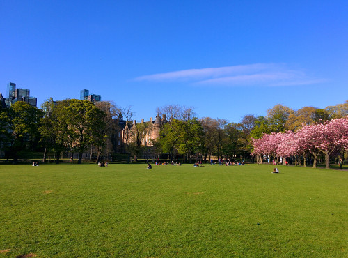 The Meadows in Edinburgh